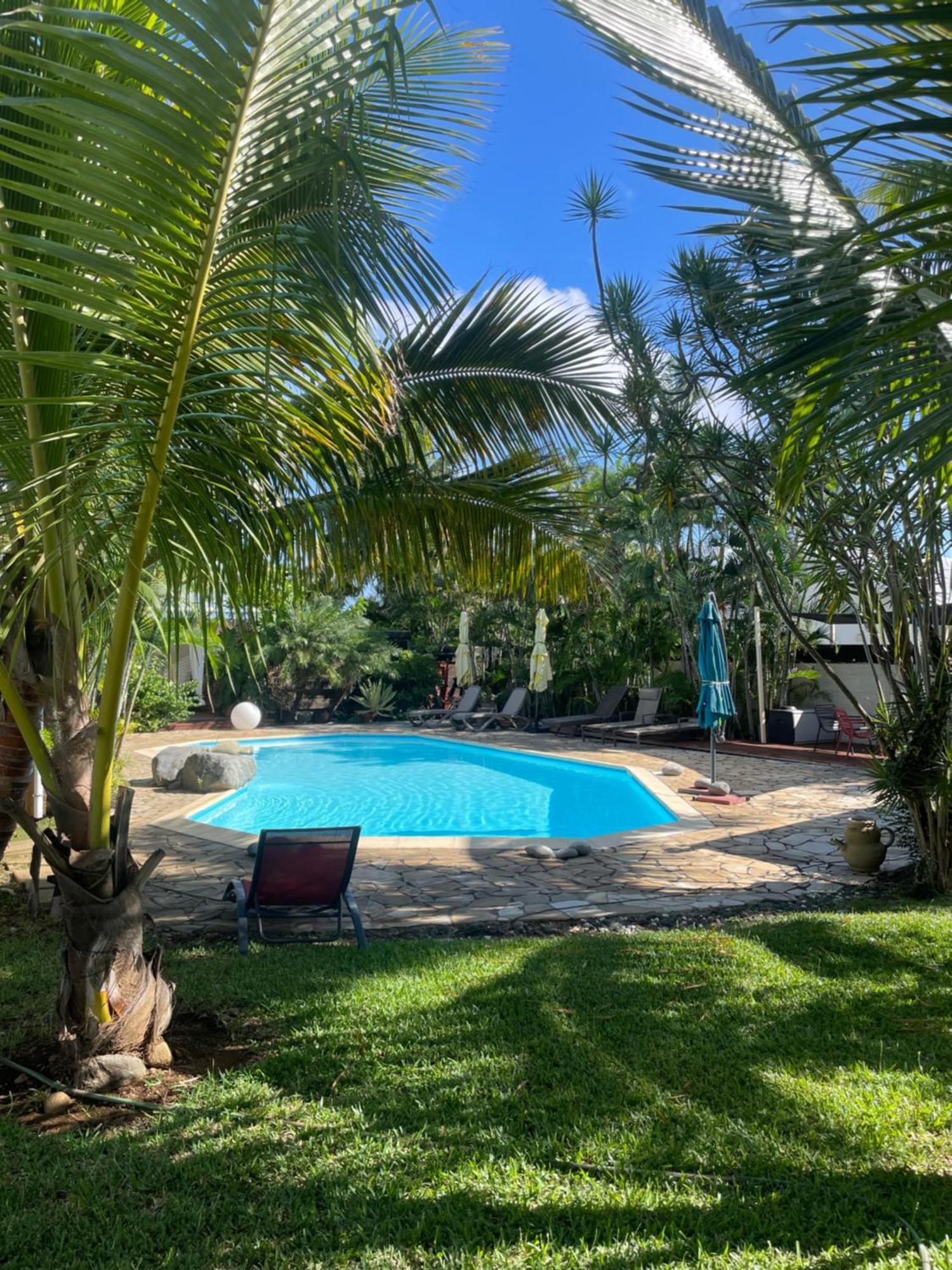 Villa Albizia 974 Avec Piscine Et Spa Saint Pierre Exterior foto